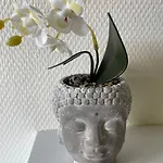 St Bruno - Studio tropiques  아파트 *