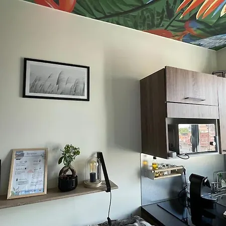Apartment St Bruno - Studio tropiques  *